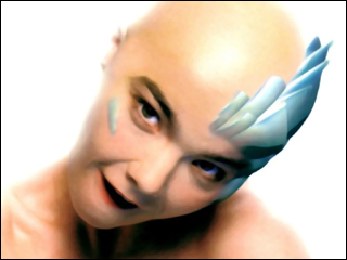 Photo: Bjrk in Hunter Video